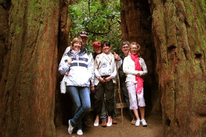 Muir Woods and California Wine Country 8 Hour Private Tour - The Limitations of the Tour