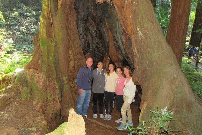 Muir Woods and California Wine Country 8 Hour Private Tour - Final Thoughts