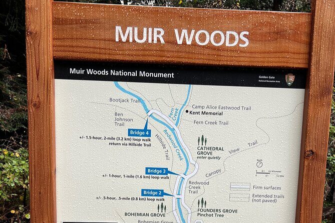 Muir Woods and Sausalito Private Tour - The Itinerary in Detail