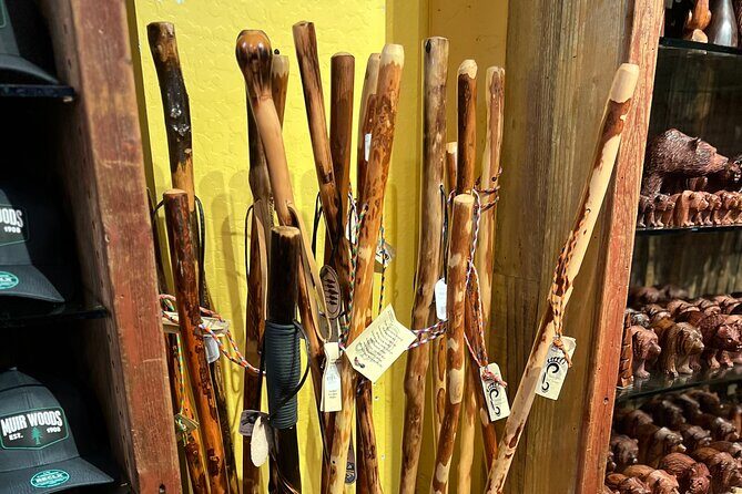 Muir Woods and Sausalito Private Tour - Authentic Insights from Reviewers