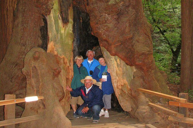 Muir Woods Forest Morning and Afternoon Private Tours - The Authentic Experience: What Travelers Say