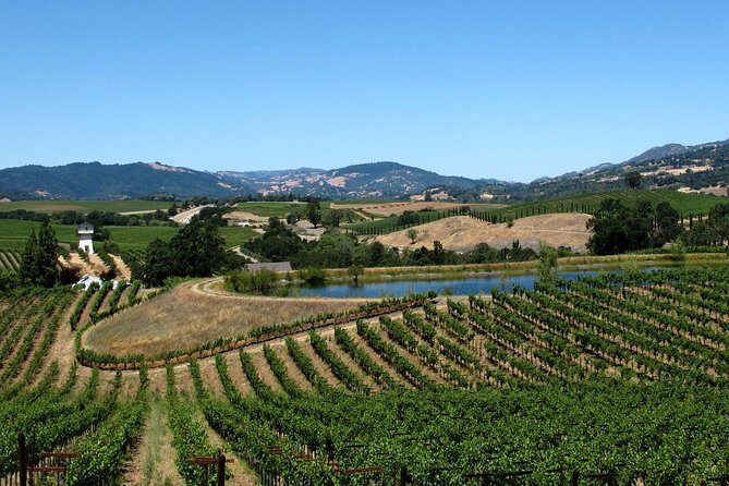 Muir Woods & Napa-8hr-Private Scenic Wine Tour From San Francisco - Exploring Muir Woods