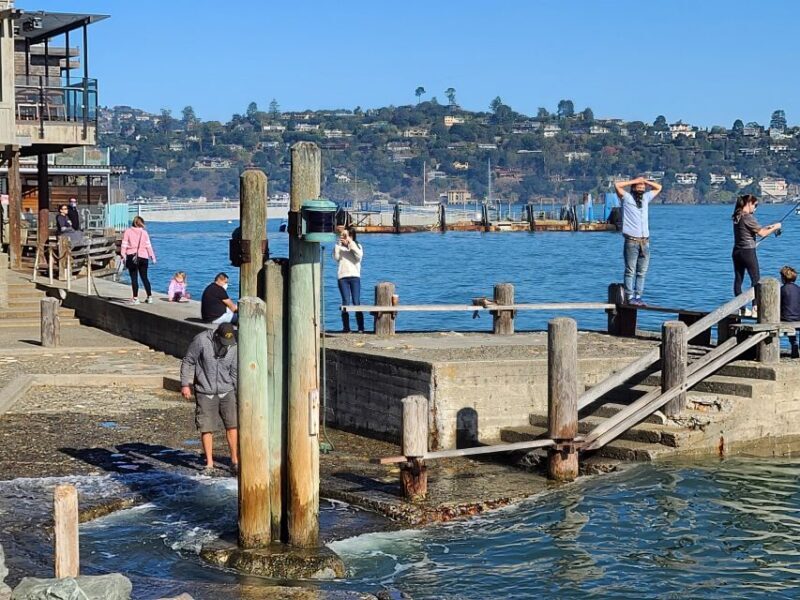 Muir Woods, Sausalito and Ferry back to Fisherman's Wharf - Who Will Love This Tour?