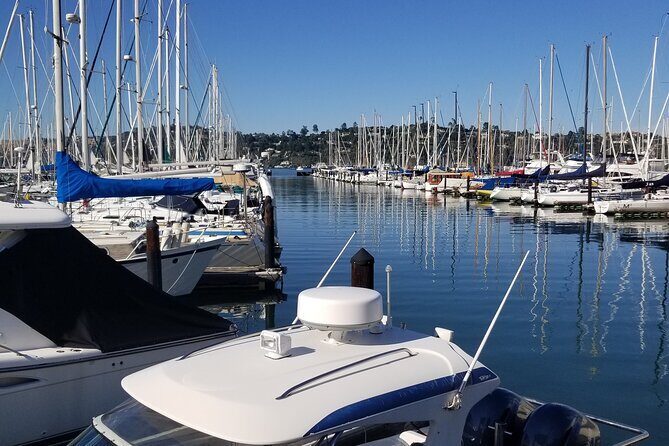 Muir Woods, Sausalito, Marin Headlands, Lighthouse Private Tour - The Experience in Detail