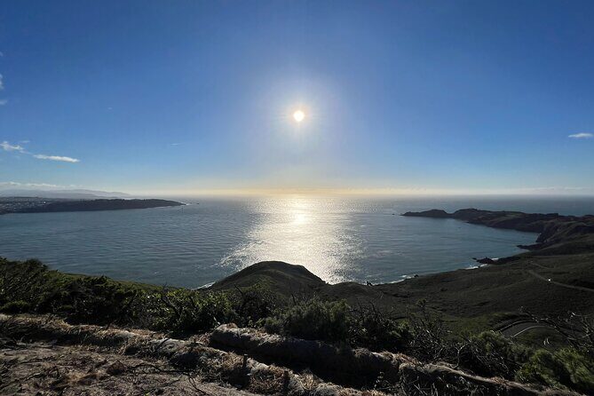 Muir Woods, Sausalito, Marin Headlands, Lighthouse Private Tour - The Sum Up