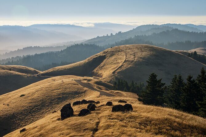 Muir Woods Self-Guided Driving and Walking Audio Tour - The Sum Up