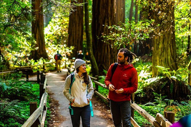 Muir Woods with Napa & Sonoma Wine Tour + Alcatraz & Aquarium Access - Key Points