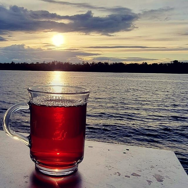 Mulled wine ride in the Leipzig New Zealand - In-Depth Review of the Mulled Wine Ride in Leipzig