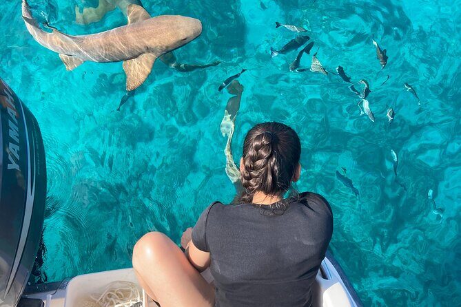 Multi-Activity Private Charter Boat in Key largo - Key Points