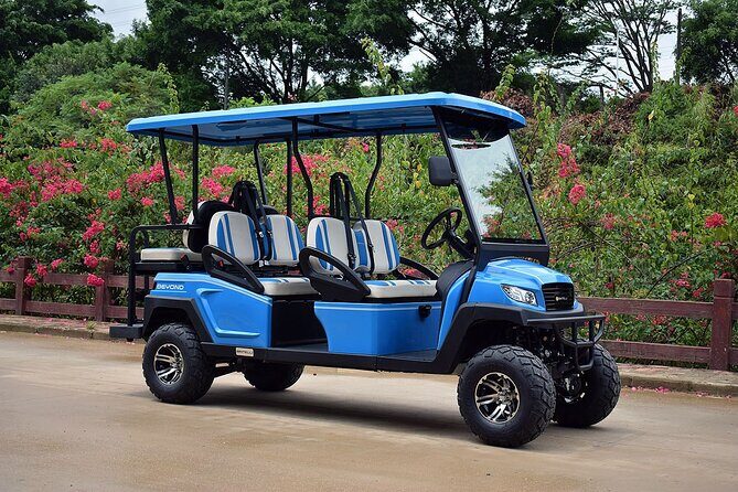 Multi Day 6 Passenger LSV Golf Cart Rental - An In-Depth Look at the Experience