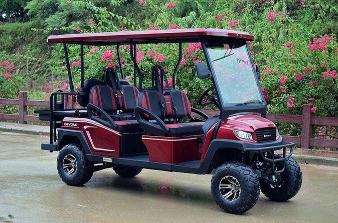 Multi Day 6 Passenger LSV Golf Cart Rental - Final Thoughts: Who Is This Best For?