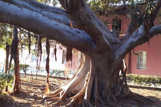 Multi-day Tour of Sicily - FAQ