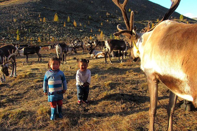 Multi-Day Tour to the Reindeer Tribe in Mongolia - What to Expect on This Mongolia Tour