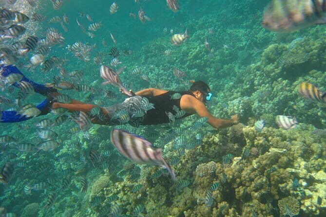 Mun Island Snorkeling, Mini Beach, Floating Bar from Nha Trang - Key Points