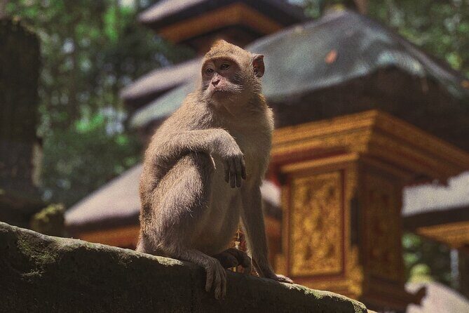 Munduk: Tamblingan jungle trek, waterfall, Ulun Danu temple - The Itinerary in Detail: What to Expect