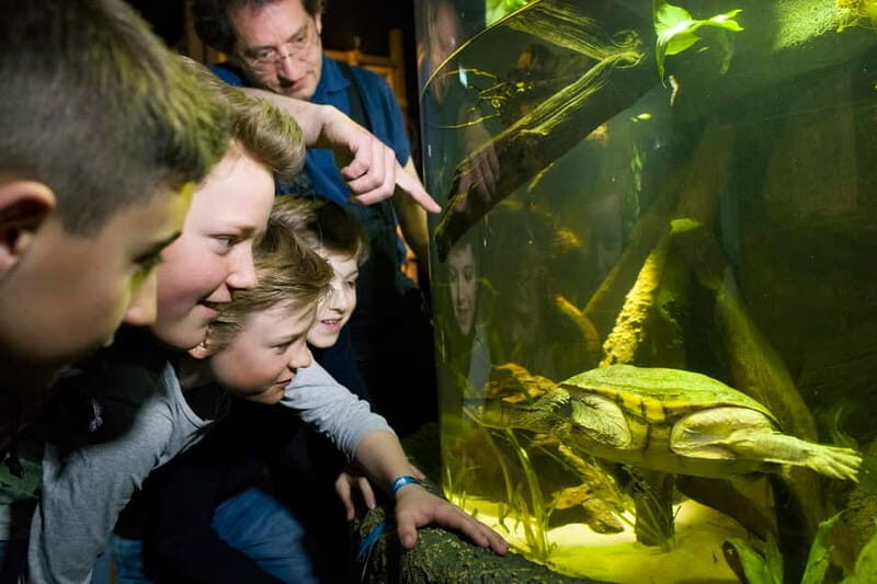 Munich: Day Ticket to Sea Life - What You Can Expect at Sea Life Munich