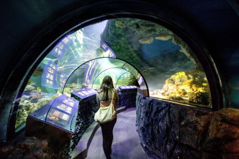 Munich: Day Ticket to Sea Life - Final Thoughts