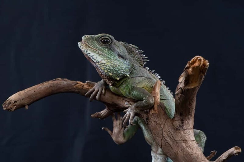 Munich: Day Ticket to Sea Life - FAQ