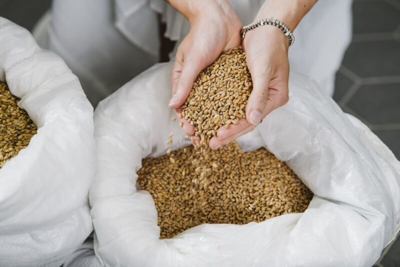 Munich: Exclusive Brewery Tour & Tasting of 4 Organic Beers - Authentic Experiences Backed by Feedback