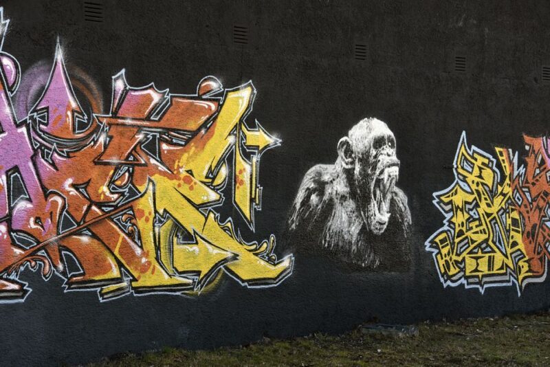 Munich: Street Art Bike Tour - FAQ