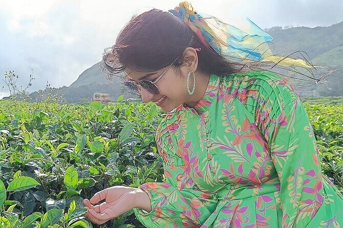 Munnar 2 Nights Solo Tour Package - Key Points