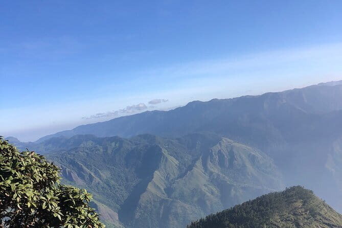 Munnar Daily Tour - Exploring the Details of the Munnar Daily Tour