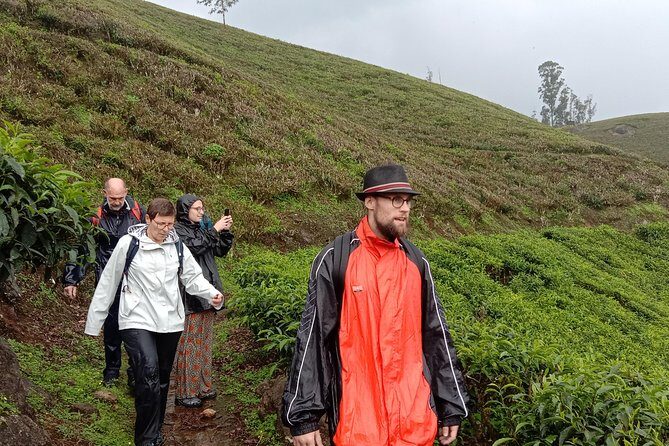 Munnar Letchmi hills Trekking - A Deep Dive into the Munnar Letchmi Hills Trekking Tour