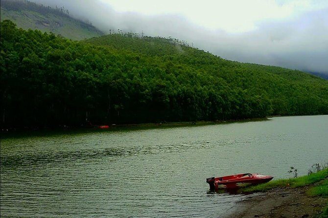 Munnar Site-seeing Tour - A Closer Look at the Itinerary