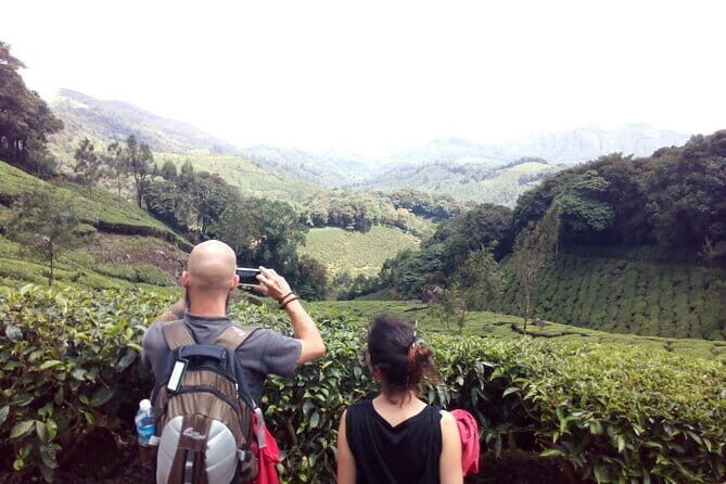 Munnar Tea Plantation Evening walking with Sunset View - An In-Depth Look at the Munnar Tea Plantation Evening Walk