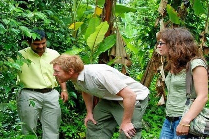 Munnar Tea valley Tour ( By Munnar Info) - Who is This Tour Best Suited For?
