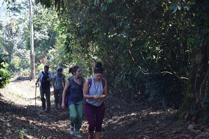 Munnar Trekking (Amazing Munnar Adventure Tours) - Key Points