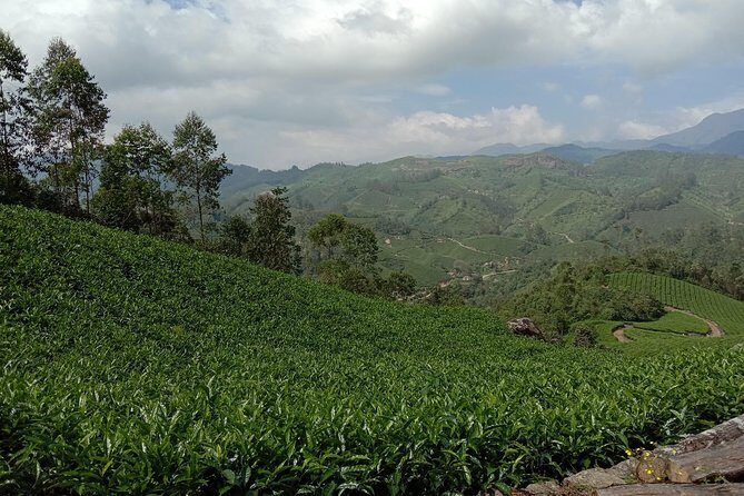 Munnar Trekking (Amazing Munnar Adventure Tours) - Authentic Experiences and Real Feedback