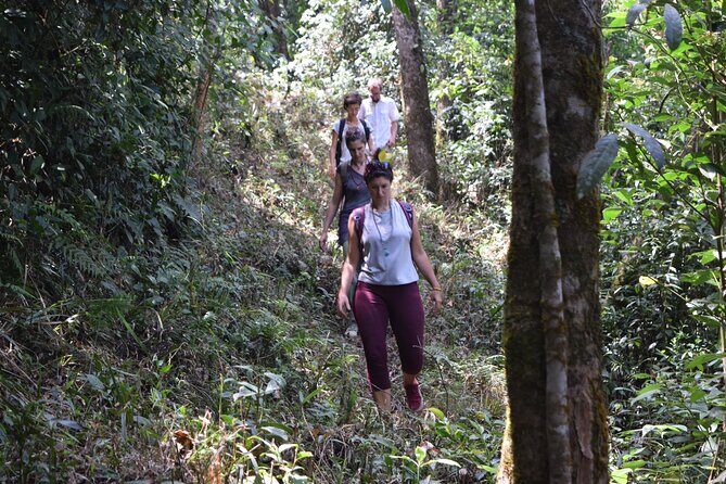 Munnar Trekking (Amazing Munnar Adventure Tours) - FAQ