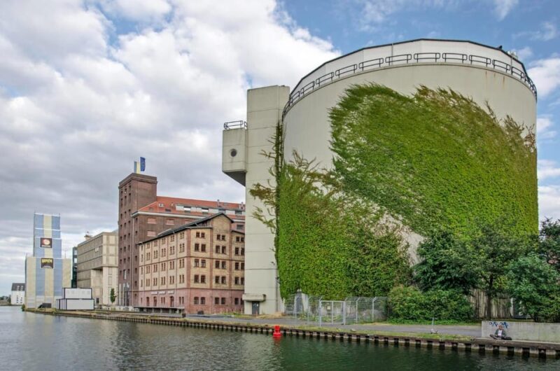 Munster: Insta-Perfect Walk with a Local - The Sum Up