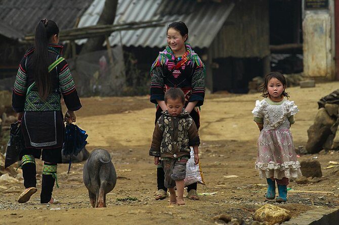 Muong Hoa Valley Trek & Homestay Experience - 4D3N - Detailed Breakdown of the Itinerary