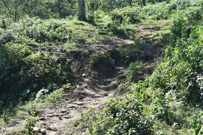 Muong Hoa Valley View & Village Trek in Sapa 1 Day - Why This Tour Offers Great Value