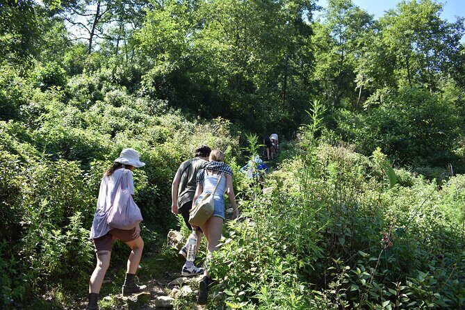 Muong Hoa Valley View & Village Trek in Sapa 1 Day - FAQ