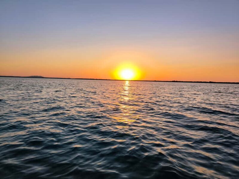 Murighiol: Danube Delta Guided Boat Tour - The Sum Up