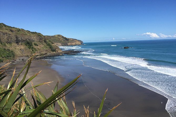 Muriwai Scenic Wine Tour from Auckland - Transportation, Timing, and Logistics