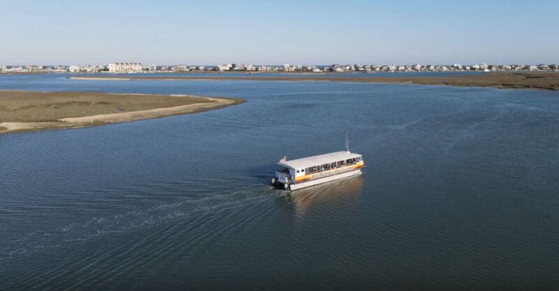 Murrells Inlet: Saltwater Marsh Eco Tour w/ Marine Biologist - The Itinerary: What to Expect from the Murrells Inlet Saltwater Marsh Eco Tour
