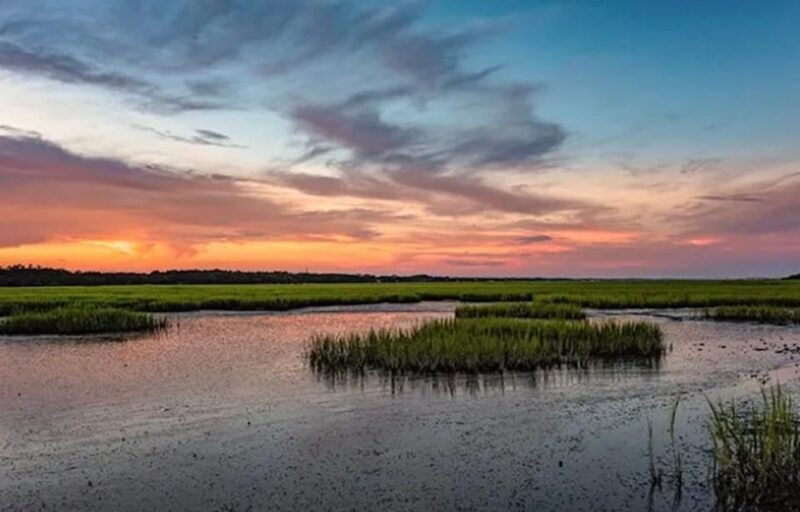 Murrells Inlet: Sunset Sealife Cruise - Final Thoughts: Is It Worth It?