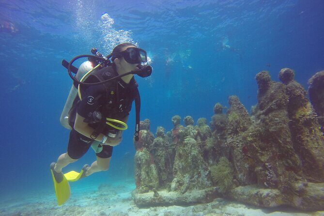 MUSA Diving For Beginners in Cancun - The Itinerary: A Step-by-Step Breakdown