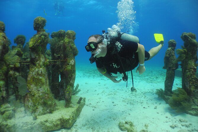MUSA Diving For Beginners in Cancun - What Makes the MUSA Underwater Sculpture Special?