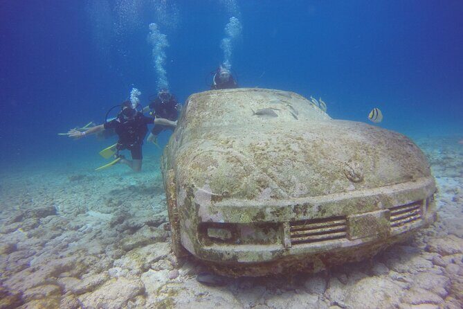 MUSA Diving For Beginners in Cancun - The Experience: What You Can Expect