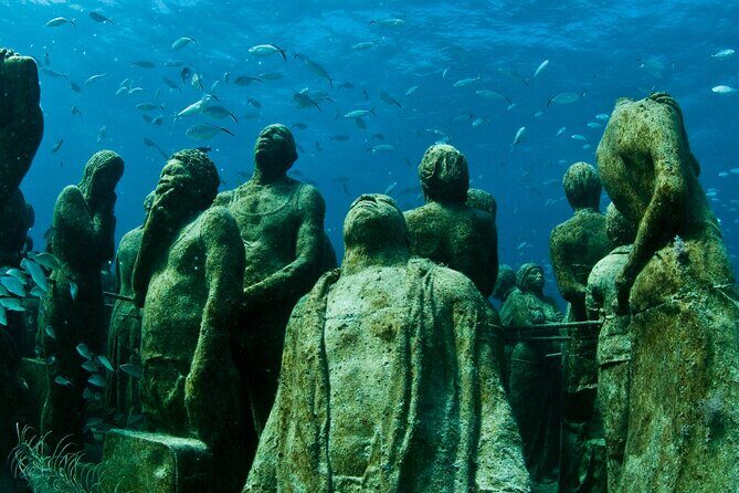 MUSA Diving For Beginners in Cancun - The Practicalities