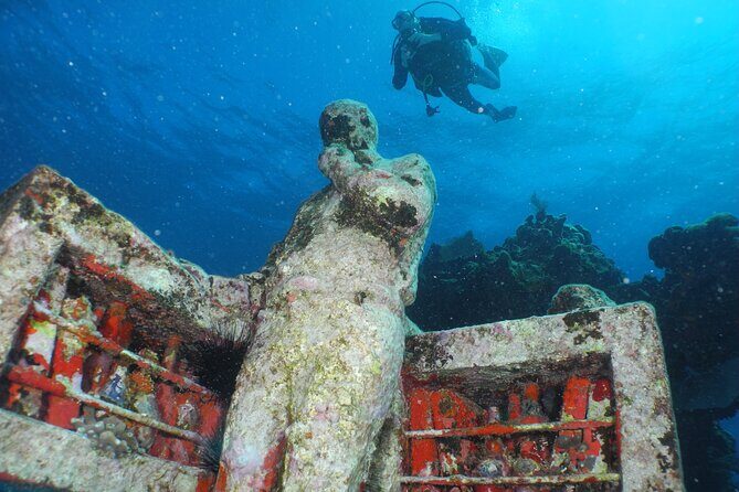 MUSA Diving For Beginners in Cancun - Who Would Love This Experience?