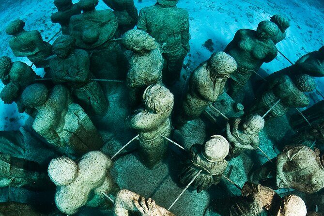 MUSA Diving For Beginners in Cancun - Final Thoughts