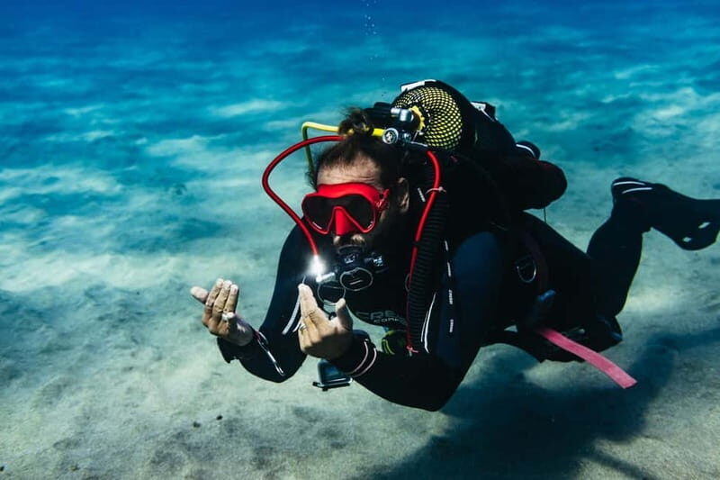 Museo Atlántico: Scuba Dive Lesson for Non-Certified Divers - Who Would Love This?
