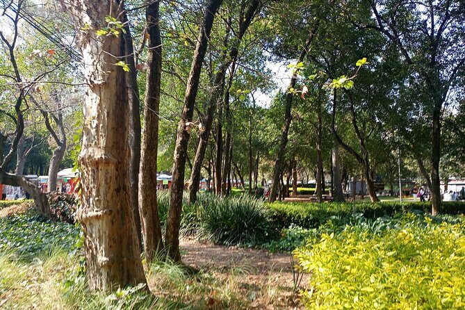 Museum of Anthropology and Castle private tour with historians - The Sum Up