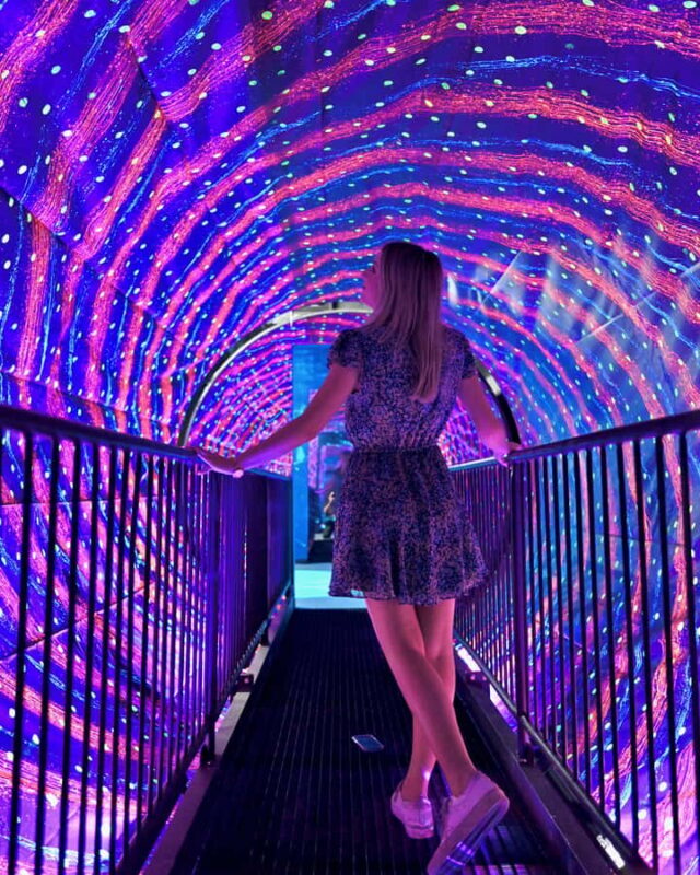 Museum of Illusions Entry Ticket - Key Points